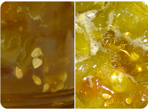 Confiture tomates vertes Confiture tomates vertes