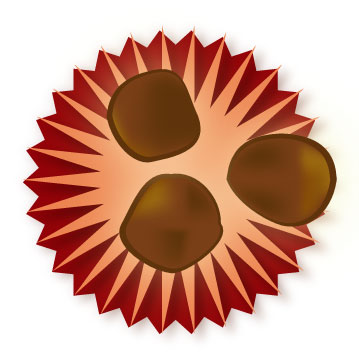 Les truffes au Chocolat de la Saint-Valentin